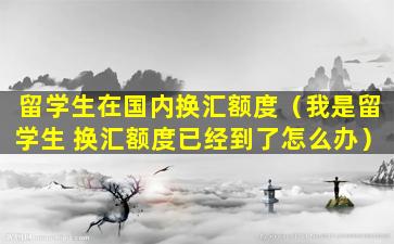 留学生在国内换汇额度（我是留学生 换汇额度已经到了怎么办）